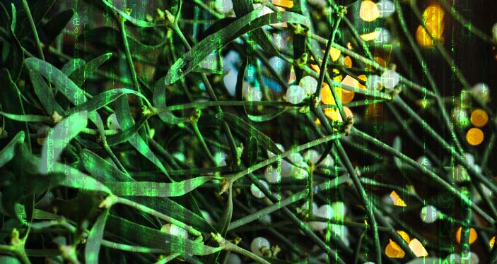 mistletoe with matrix code overlay