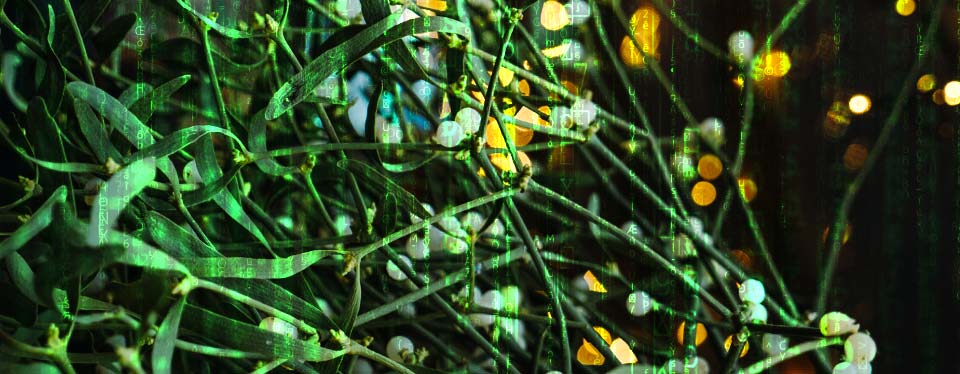 mistletoe with matrix code overlay