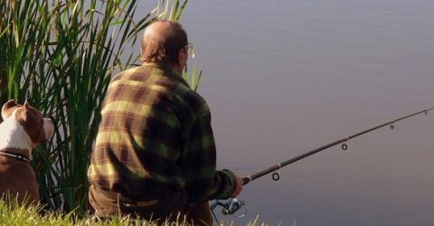 The latest phishing trends