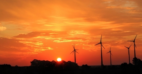 Fight the Climate Crisis – Offset Your Internet