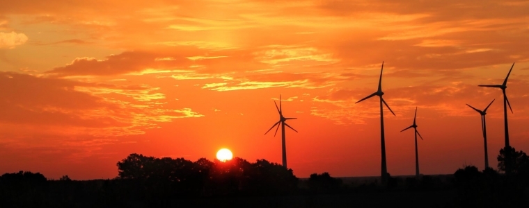 Fight the Climate Crisis – Offset Your Internet