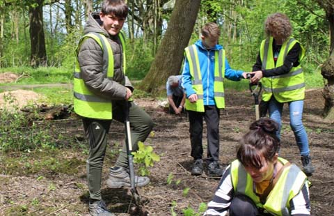 Tree Planting in the UK