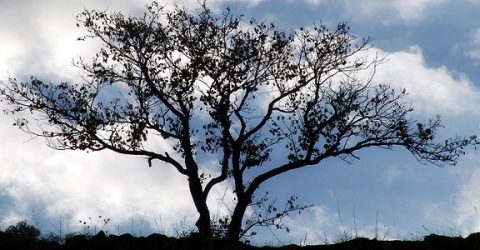 The best online mental health resources