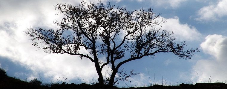 The best online mental health resources