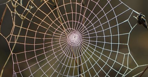 Why inbound links to a website are crucial for SEO