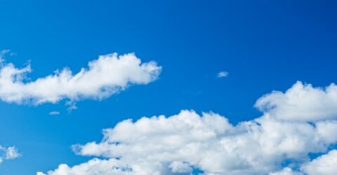 Does Bluesky have a bright future?
