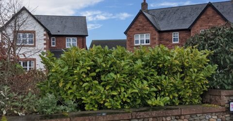 The pros and cons of 2Gbps home broadband